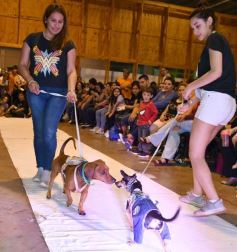Foto de la galería: Súper coquetos: los más peques tuvieron una tarde de moda y brillo en el Parque del Conocimiento