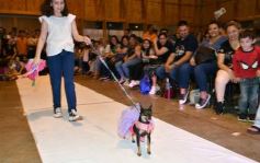 Foto de la galería: Súper coquetos: los más peques tuvieron una tarde de moda y brillo en el Parque del Conocimiento