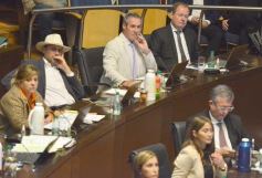 Foto de la galería: Sesión de Diputados: se aprobó la Medicina Tradicional dentro del sistema de Salud Público Misionero