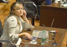 Foto de la galería: Sesión de Diputados: se aprobó la Medicina Tradicional dentro del sistema de Salud Público Misionero