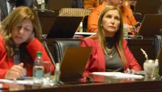 Foto de la galería: Sesión de Diputados: se aprobó la Medicina Tradicional dentro del sistema de Salud Público Misionero