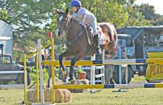 Foto de la galería: Torneo de Equitación: los saltos hípicos animaron otro domingo de salida familiar en Posadas