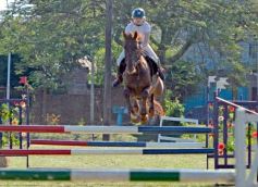 Foto de la galería: Torneo de Equitación: los saltos hípicos animaron otro domingo de salida familiar en Posadas