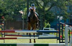 Foto de la galería: Torneo de Equitación: los saltos hípicos animaron otro domingo de salida familiar en Posadas