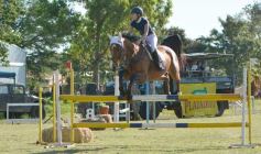 Foto de la galería: Torneo de Equitación: los saltos hípicos animaron otro domingo de salida familiar en Posadas