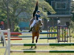 Foto de la galería: Torneo de Equitación: los saltos hípicos animaron otro domingo de salida familiar en Posadas