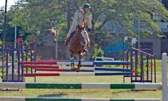 Foto de la galería: Torneo de Equitación: los saltos hípicos animaron otro domingo de salida familiar en Posadas
