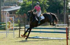 Foto de la galería: Torneo de Equitación: los saltos hípicos animaron otro domingo de salida familiar en Posadas