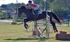 Foto de la galería: Torneo de Equitación: los saltos hípicos animaron otro domingo de salida familiar en Posadas