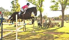 Foto de la galería: Torneo de Equitación: los saltos hípicos animaron otro domingo de salida familiar en Posadas