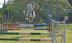 Foto de la galería: Torneo de Equitación: los saltos hípicos animaron otro domingo de salida familiar en Posadas