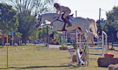 Foto de la galería: Torneo de Equitación: los saltos hípicos animaron otro domingo de salida familiar en Posadas