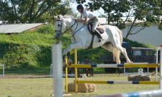 Foto de la galería: Torneo de Equitación: los saltos hípicos animaron otro domingo de salida familiar en Posadas