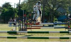 Foto de la galería: Torneo de Equitación: los saltos hípicos animaron otro domingo de salida familiar en Posadas