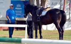 Foto de la galería: Torneo de Equitación: los saltos hípicos animaron otro domingo de salida familiar en Posadas