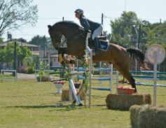 Foto de la galería: Torneo de Equitación: los saltos hípicos animaron otro domingo de salida familiar en Posadas