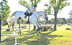 Foto de la galería: Torneo de Equitación: los saltos hípicos animaron otro domingo de salida familiar en Posadas