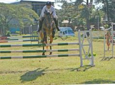 Foto de la galería: Torneo de Equitación: los saltos hípicos animaron otro domingo de salida familiar en Posadas