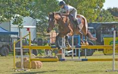 Foto de la galería: Torneo de Equitación: los saltos hípicos animaron otro domingo de salida familiar en Posadas