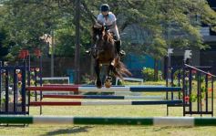 Foto de la galería: Torneo de Equitación: los saltos hípicos animaron otro domingo de salida familiar en Posadas