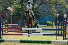 Foto de la galería: Torneo de Equitación: los saltos hípicos animaron otro domingo de salida familiar en Posadas