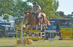 Foto de la galería: Torneo de Equitación: los saltos hípicos animaron otro domingo de salida familiar en Posadas