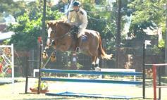 Foto de la galería: Torneo de Equitación: los saltos hípicos animaron otro domingo de salida familiar en Posadas