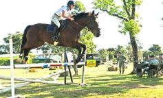 Foto de la galería: Torneo de Equitación: los saltos hípicos animaron otro domingo de salida familiar en Posadas