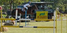 Foto de la galería: Torneo de Equitación: los saltos hípicos animaron otro domingo de salida familiar en Posadas