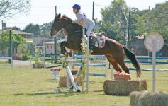 Foto de la galería: Torneo de Equitación: los saltos hípicos animaron otro domingo de salida familiar en Posadas