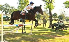 Foto de la galería: Torneo de Equitación: los saltos hípicos animaron otro domingo de salida familiar en Posadas