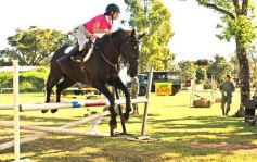 Foto de la galería: Torneo de Equitación: los saltos hípicos animaron otro domingo de salida familiar en Posadas