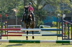 Foto de la galería: Torneo de Equitación: los saltos hípicos animaron otro domingo de salida familiar en Posadas
