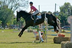 Foto de la galería: Torneo de Equitación: los saltos hípicos animaron otro domingo de salida familiar en Posadas