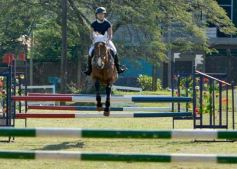 Foto de la galería: Torneo de Equitación: los saltos hípicos animaron otro domingo de salida familiar en Posadas