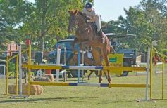 Foto de la galería: Torneo de Equitación: los saltos hípicos animaron otro domingo de salida familiar en Posadas