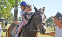 Foto de la galería: Torneo de Equitación: los saltos hípicos animaron otro domingo de salida familiar en Posadas