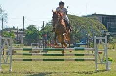 Foto de la galería: Torneo de Equitación: los saltos hípicos animaron otro domingo de salida familiar en Posadas