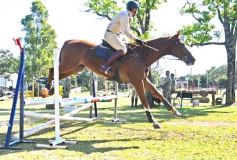Foto de la galería: Torneo de Equitación: los saltos hípicos animaron otro domingo de salida familiar en Posadas