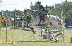 Foto de la galería: Torneo de Equitación: los saltos hípicos animaron otro domingo de salida familiar en Posadas