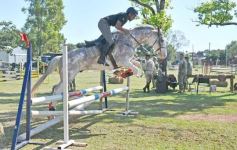 Foto de la galería: Torneo de Equitación: los saltos hípicos animaron otro domingo de salida familiar en Posadas