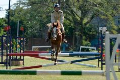 Foto de la galería: Torneo de Equitación: los saltos hípicos animaron otro domingo de salida familiar en Posadas