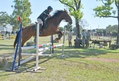 Foto de la galería: Torneo de Equitación: los saltos hípicos animaron otro domingo de salida familiar en Posadas