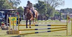 Foto de la galería: Torneo de Equitación: los saltos hípicos animaron otro domingo de salida familiar en Posadas