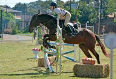 Foto de la galería: Torneo de Equitación: los saltos hípicos animaron otro domingo de salida familiar en Posadas