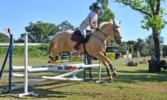 Foto de la galería: Torneo de Equitación: los saltos hípicos animaron otro domingo de salida familiar en Posadas