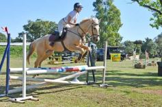 Foto de la galería: Torneo de Equitación: los saltos hípicos animaron otro domingo de salida familiar en Posadas