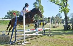 Foto de la galería: Torneo de Equitación: los saltos hípicos animaron otro domingo de salida familiar en Posadas