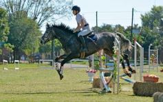 Foto de la galería: Torneo de Equitación: los saltos hípicos animaron otro domingo de salida familiar en Posadas