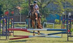 Foto de la galería: Torneo de Equitación: los saltos hípicos animaron otro domingo de salida familiar en Posadas